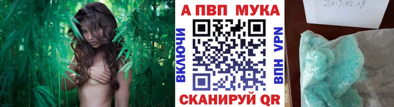 как найти закладки  Анжеро-Судженск  Alfa_PVP VHQ 