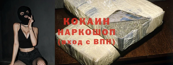 тгк Алзамай