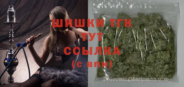 тгк Алзамай