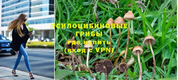 герыч Алексин